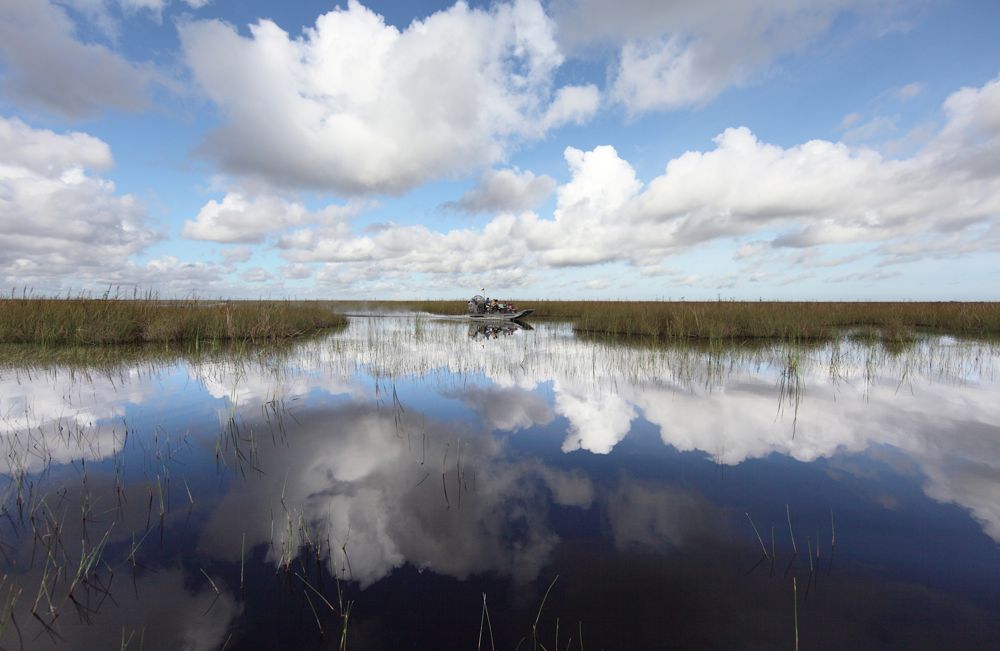 Sawgrass Recreation Park Everglades Tours 20 off with Smartsave
