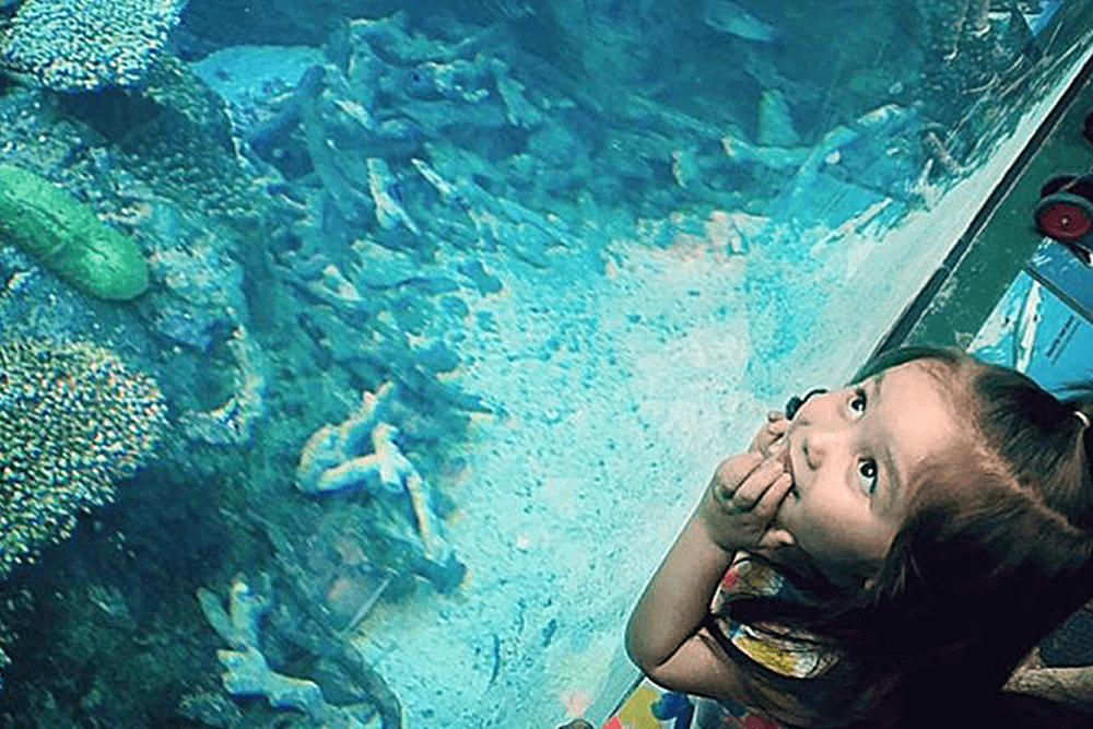 Battleship IOWA, Aquarium of the Pacific & Harbor Cruise Smartsave