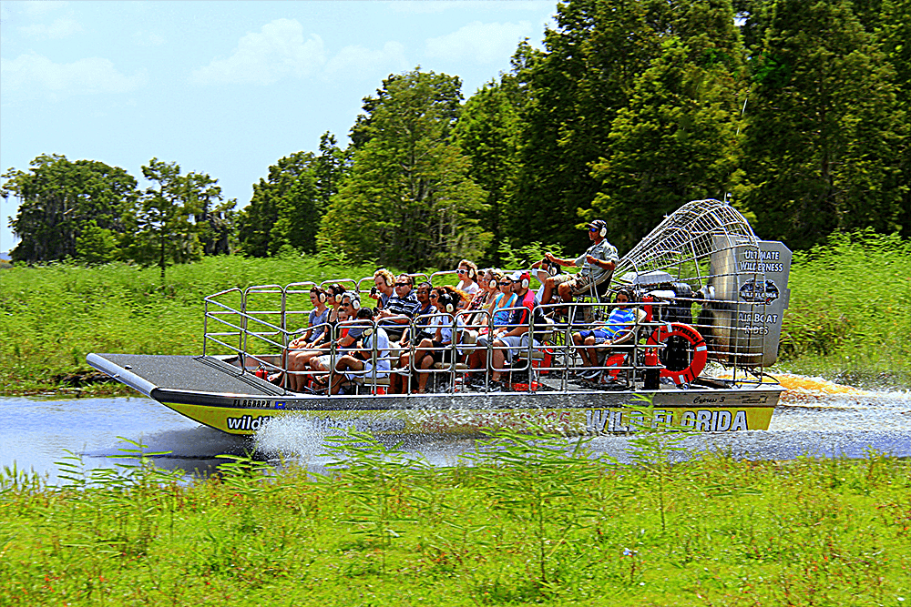 Wild Florida Airboat Tours Wildlife And Gator Park Discount