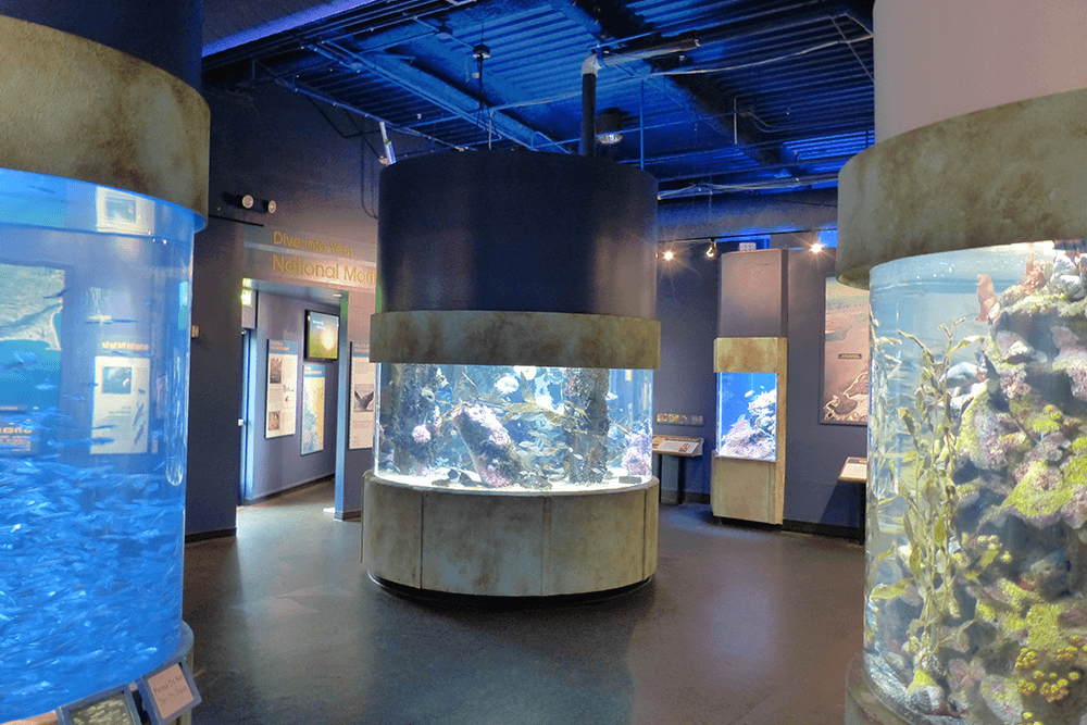 Aquarium of the Bay Sights 25 off with Smartsave